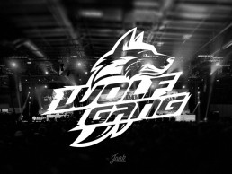 Wolfgang esports by Jonk