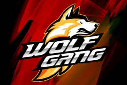 Wolfgang esports
