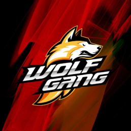 Wolfgang esports